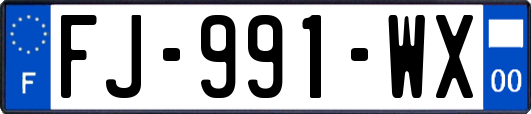 FJ-991-WX