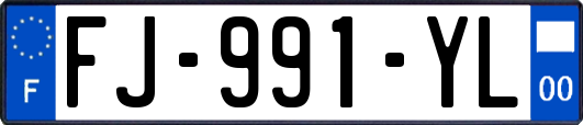FJ-991-YL