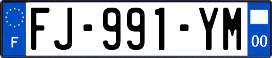 FJ-991-YM