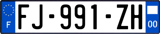 FJ-991-ZH