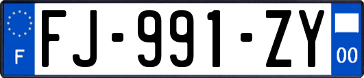 FJ-991-ZY