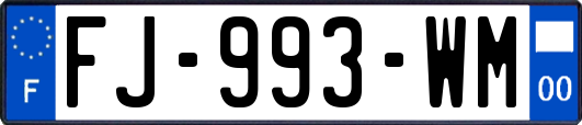 FJ-993-WM