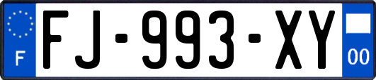 FJ-993-XY
