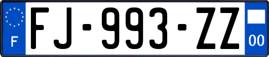 FJ-993-ZZ