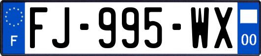 FJ-995-WX