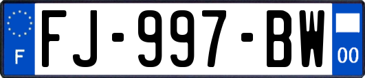 FJ-997-BW