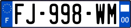 FJ-998-WM