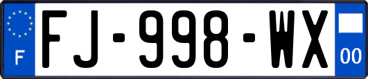 FJ-998-WX