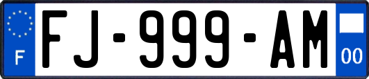 FJ-999-AM