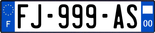 FJ-999-AS