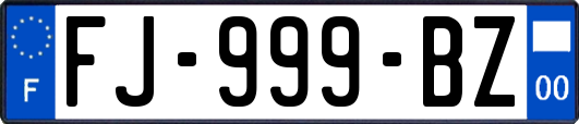 FJ-999-BZ