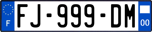 FJ-999-DM