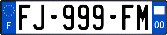 FJ-999-FM