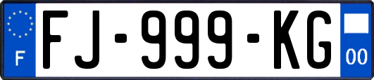 FJ-999-KG