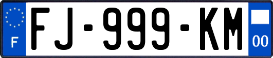 FJ-999-KM