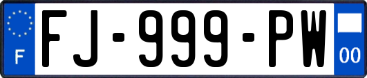FJ-999-PW