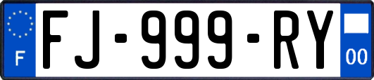FJ-999-RY