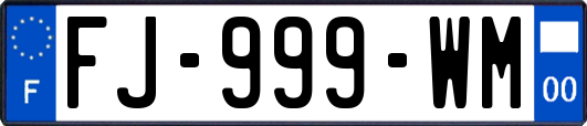 FJ-999-WM