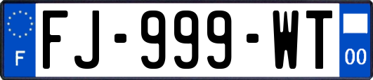 FJ-999-WT