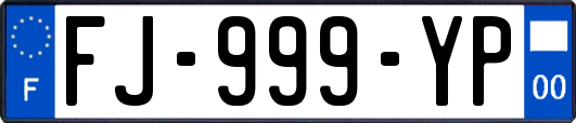 FJ-999-YP