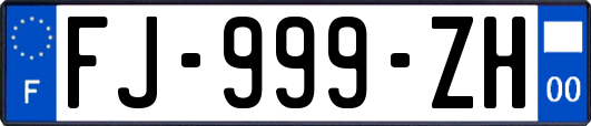 FJ-999-ZH