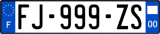 FJ-999-ZS