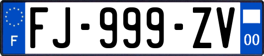 FJ-999-ZV