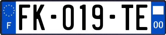 FK-019-TE