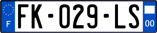 FK-029-LS