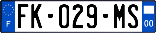 FK-029-MS