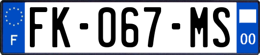 FK-067-MS