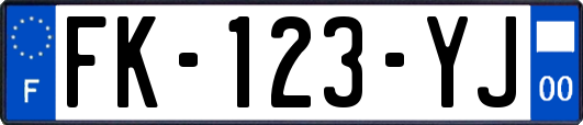 FK-123-YJ
