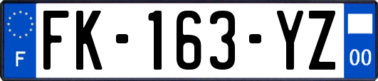 FK-163-YZ