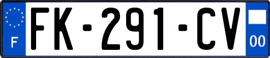FK-291-CV