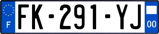 FK-291-YJ
