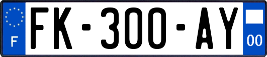 FK-300-AY