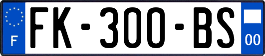 FK-300-BS