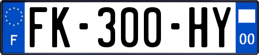 FK-300-HY