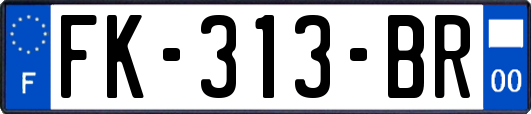 FK-313-BR