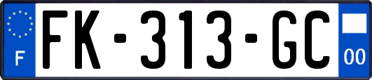 FK-313-GC