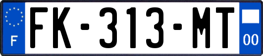 FK-313-MT