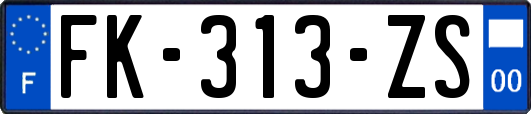 FK-313-ZS