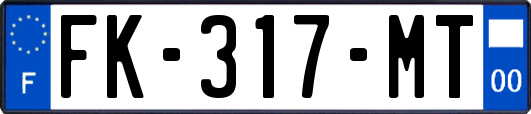 FK-317-MT