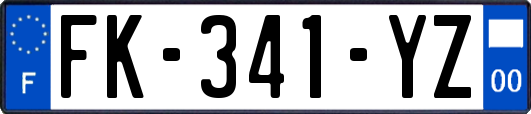 FK-341-YZ