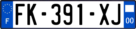 FK-391-XJ
