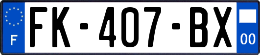 FK-407-BX