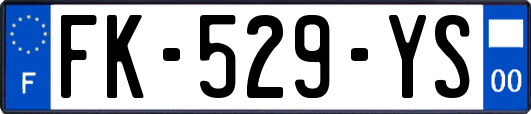 FK-529-YS