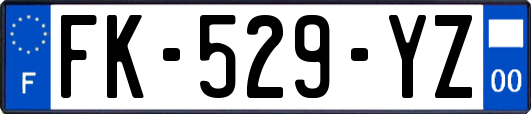 FK-529-YZ
