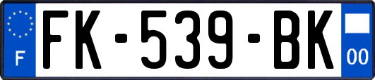 FK-539-BK