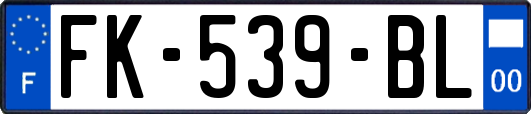 FK-539-BL